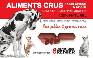 Bannière horizontale