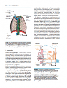 Manuel médical édité - intérieur maquette