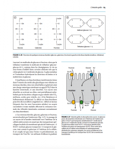 Manuel médical édité - intérieur maquette + illustration